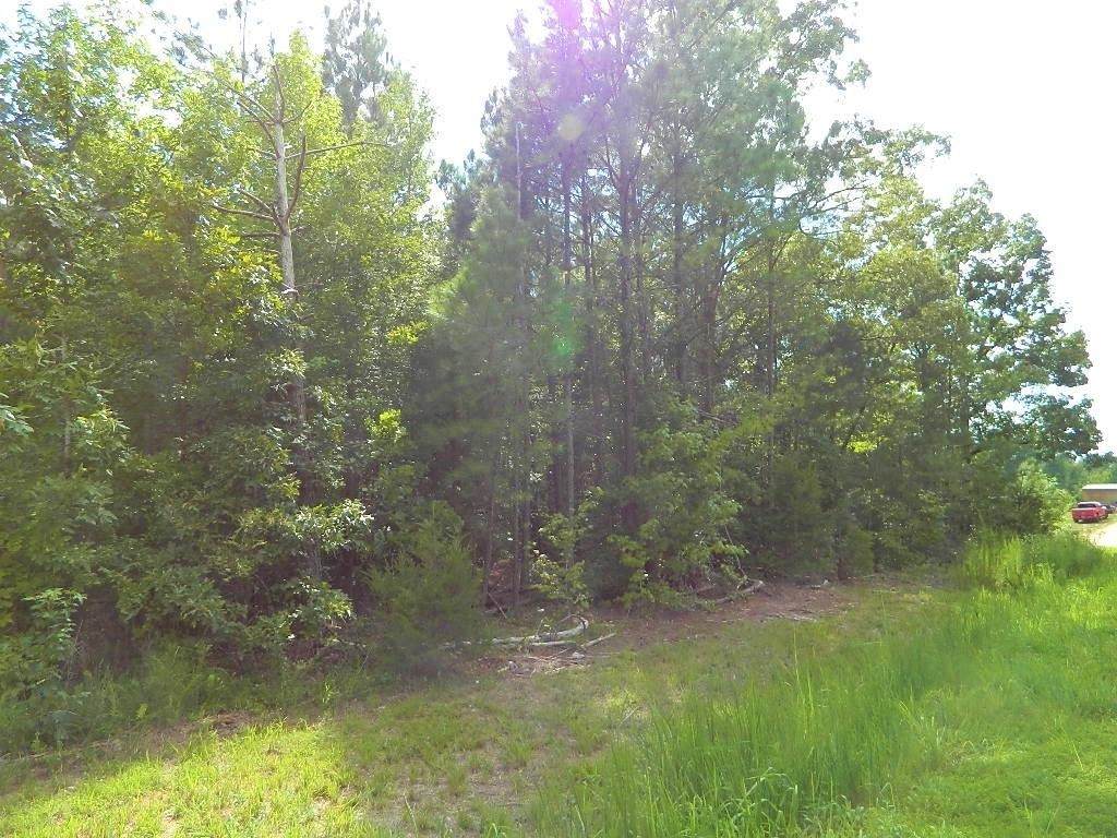 0 Stegall Road - Photo 1