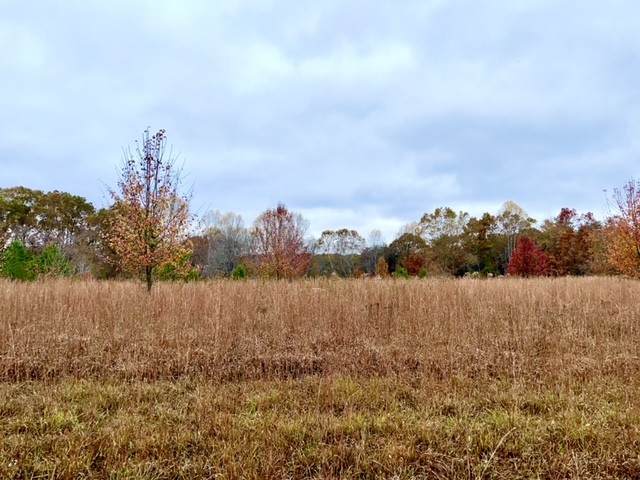 0 Dice Lampley Road - Photo 1