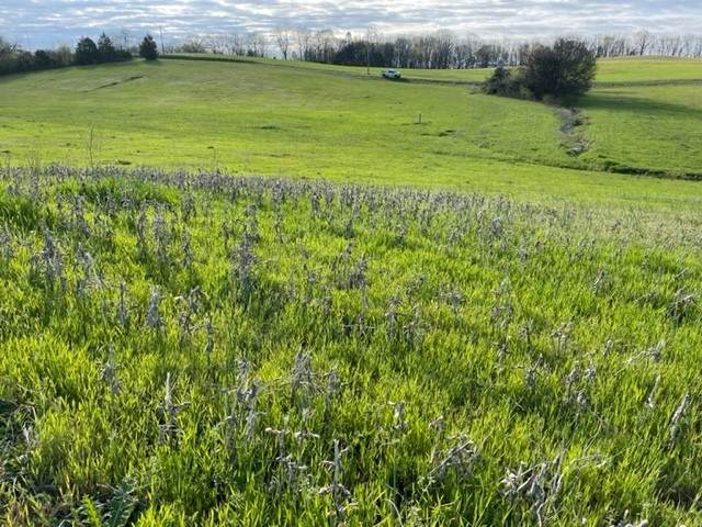 0 E Robertson Rd - Photo 1