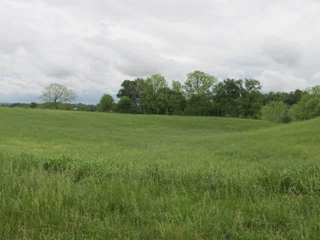 https://bt-photos.global.ssl.fastly.net/nashville/orig_boomver_1_RTC2455426-1.jpg