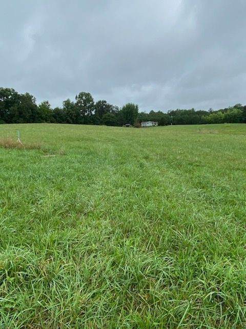 0 Gizzard Creek Raod - Photo 1