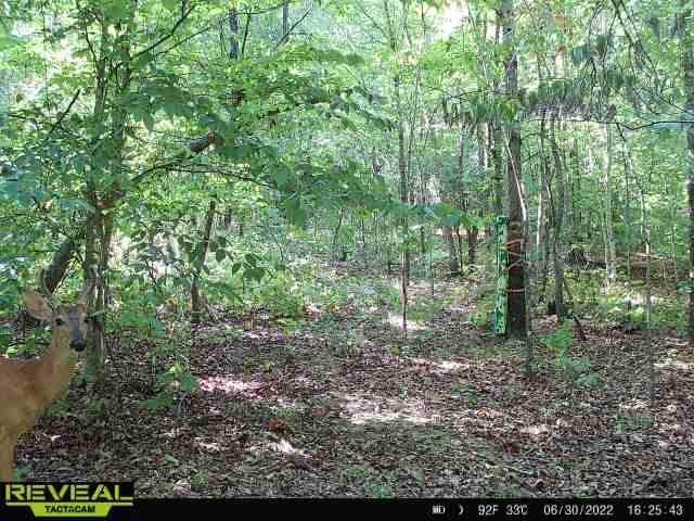 1725 Old Highway 13 - Photo 1
