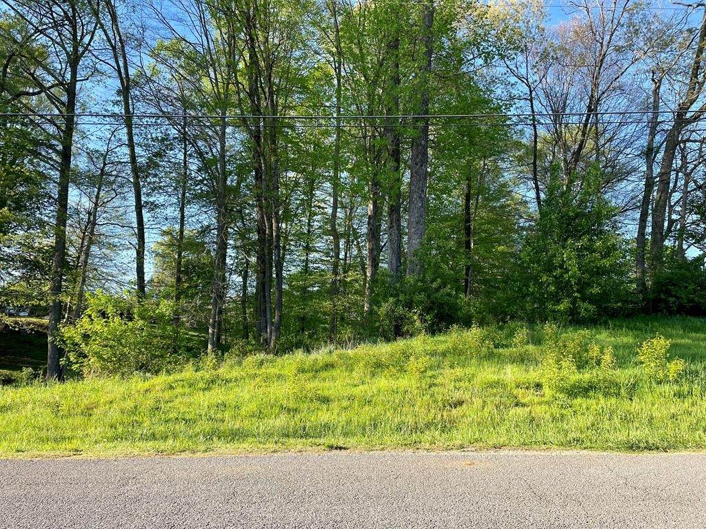 0 Meadow Wood Drive - Photo 1