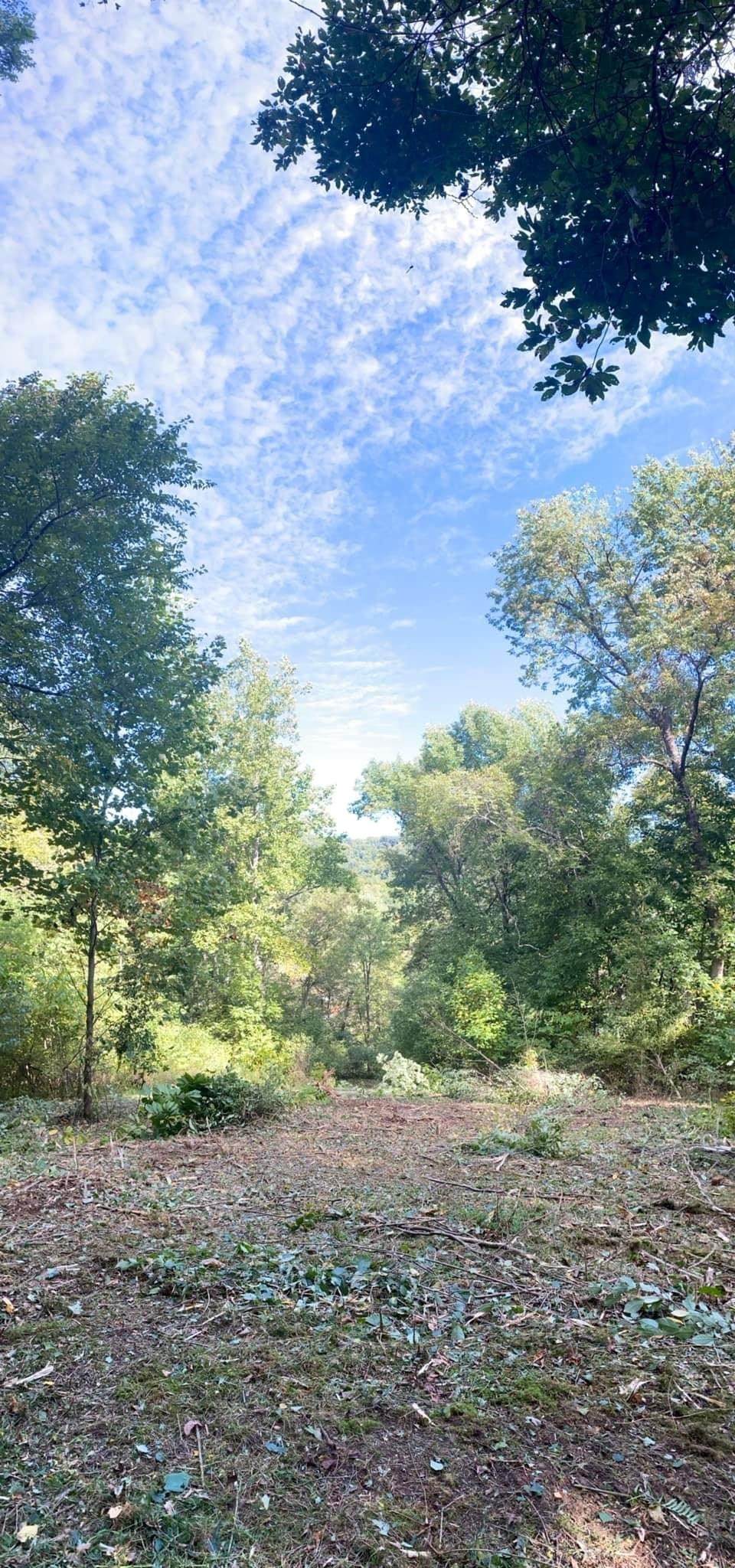 0 Massey Hollow Ln - Photo 1