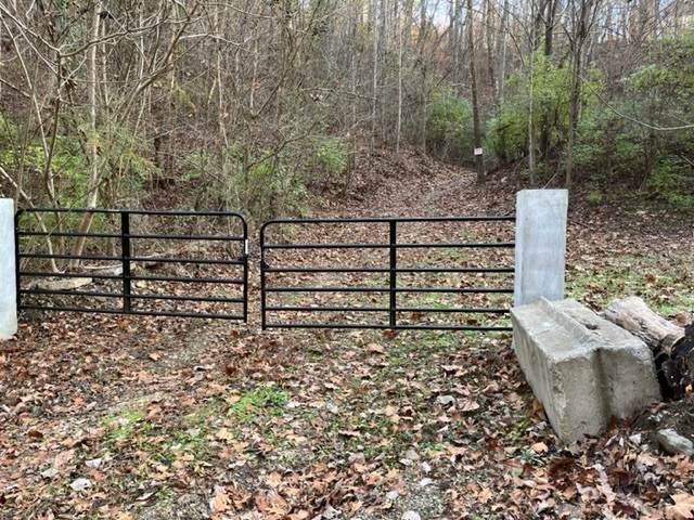 7166 River Road Pike - Photo 1
