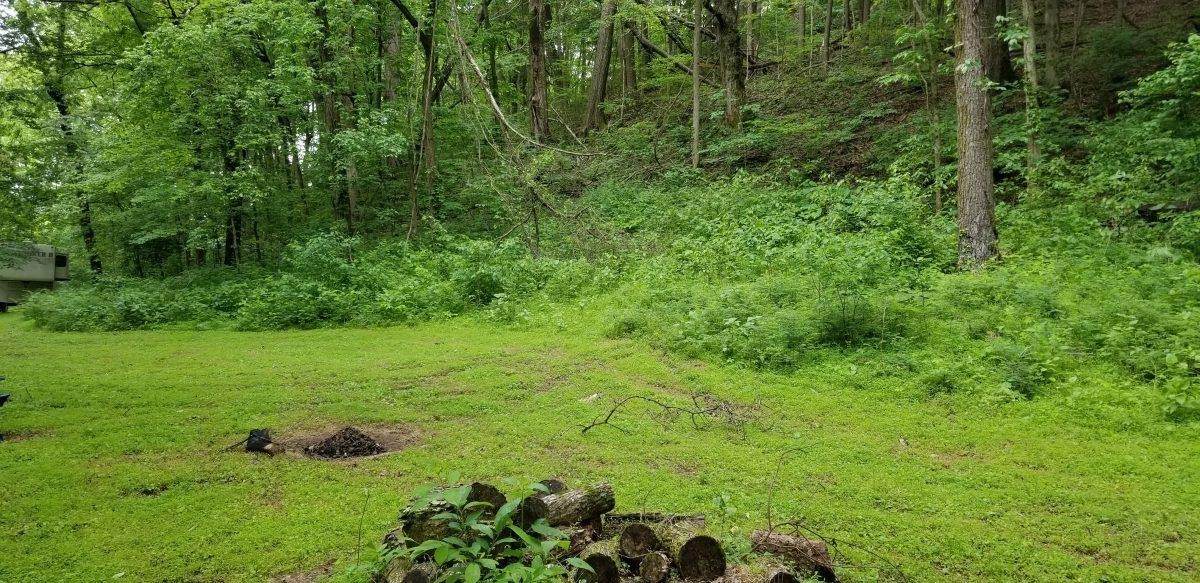 1017 Hitt Ln - Photo 1