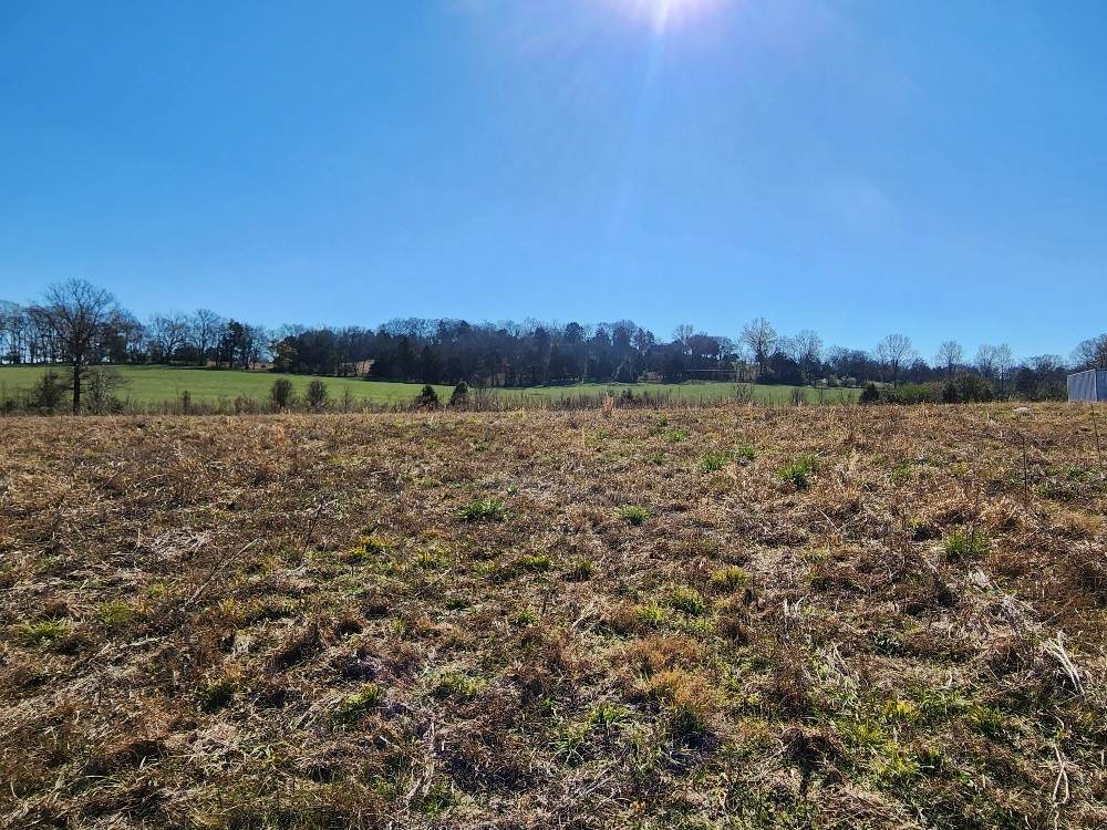 0 Duncan Rd - Photo 1