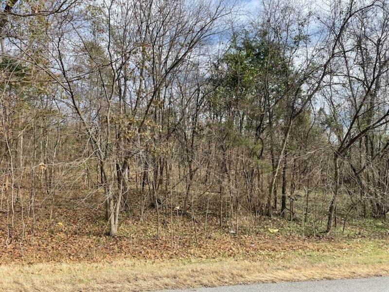 0 231 HWY - Photo 1
