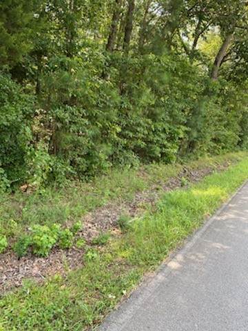 0 New Hope Rd - Photo 1