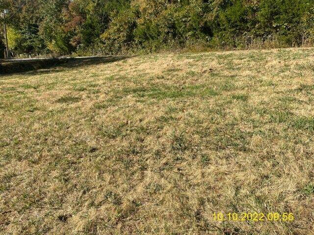39 Round Lick Hills Ln - Photo 1
