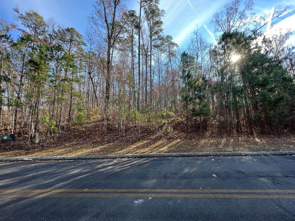 0 Chinaberry - Photo 1