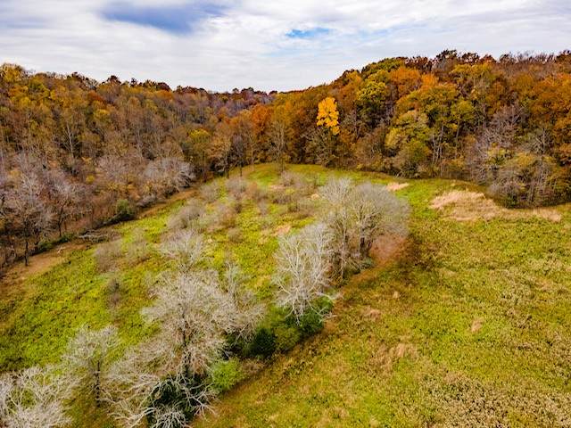0 Leipers Creek Road - Photo 1
