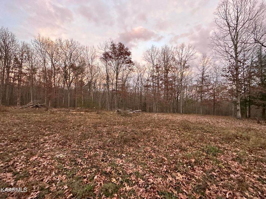 0 Horse Creek - Photo 1
