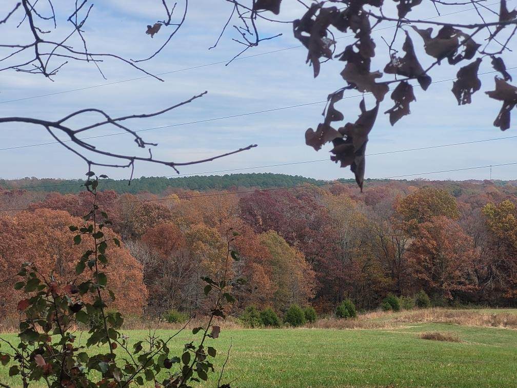 7592 Highway 100 - Photo 1