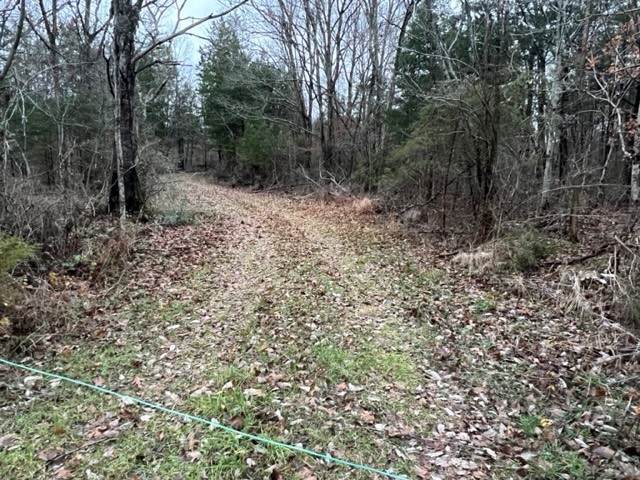 1300 Finley Rd - Photo 1
