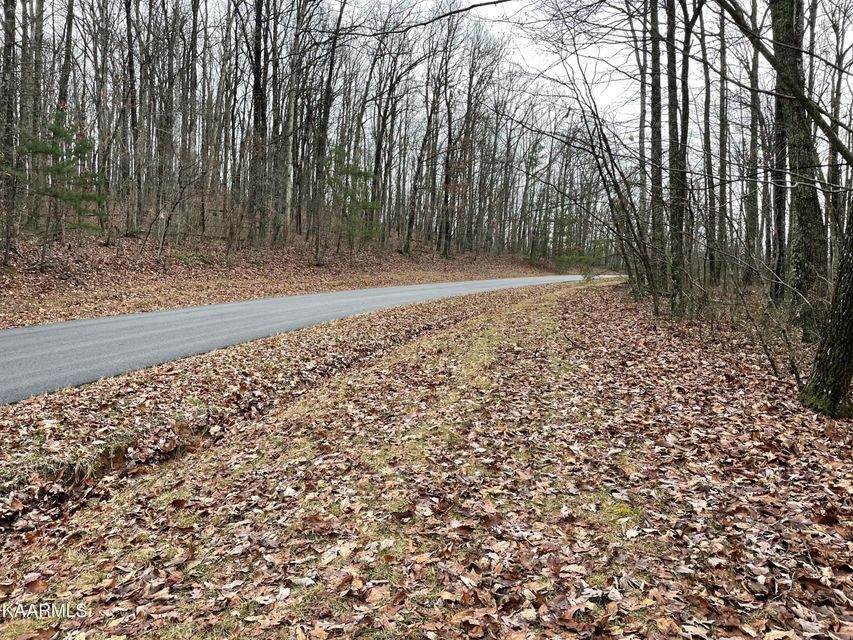 0 Icy Cove Trail - Photo 1