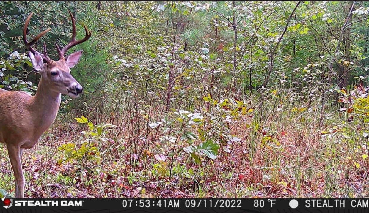 0 Pleasant Ridge Rd. - Photo 1