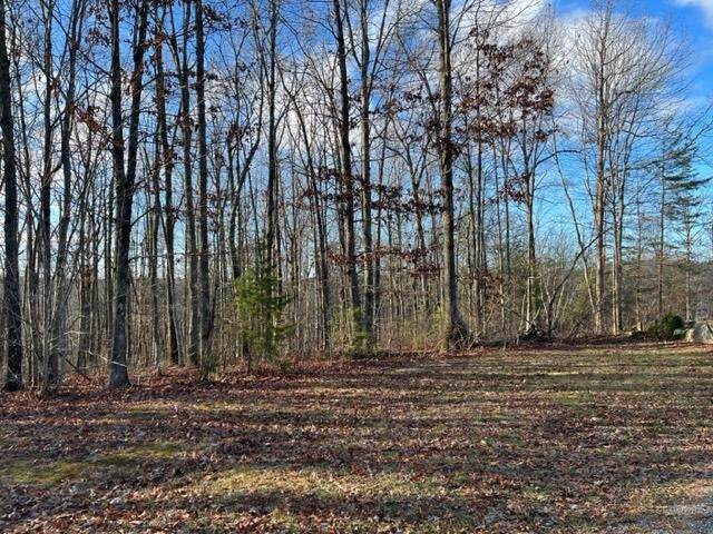 1 Gray Creek Rd - Photo 1