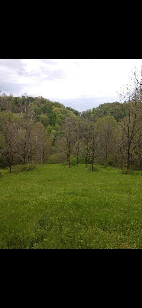0 Friendship Hollow Rd S. - Photo 1