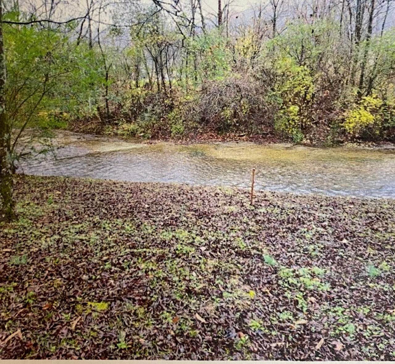 1012 Creekside Dr - Photo 1