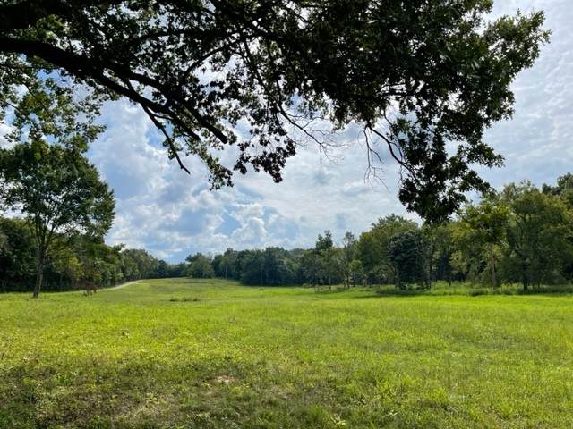 3042 Smyrna Church Rd - Photo 1