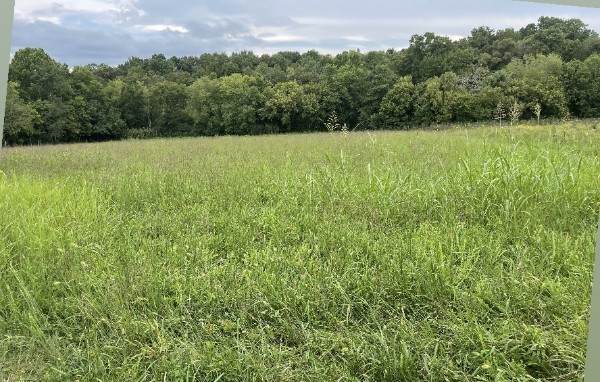 2277 Carpenter Bridge Road - Photo 1