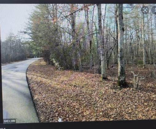 0 Timberwood Trce - Photo 1