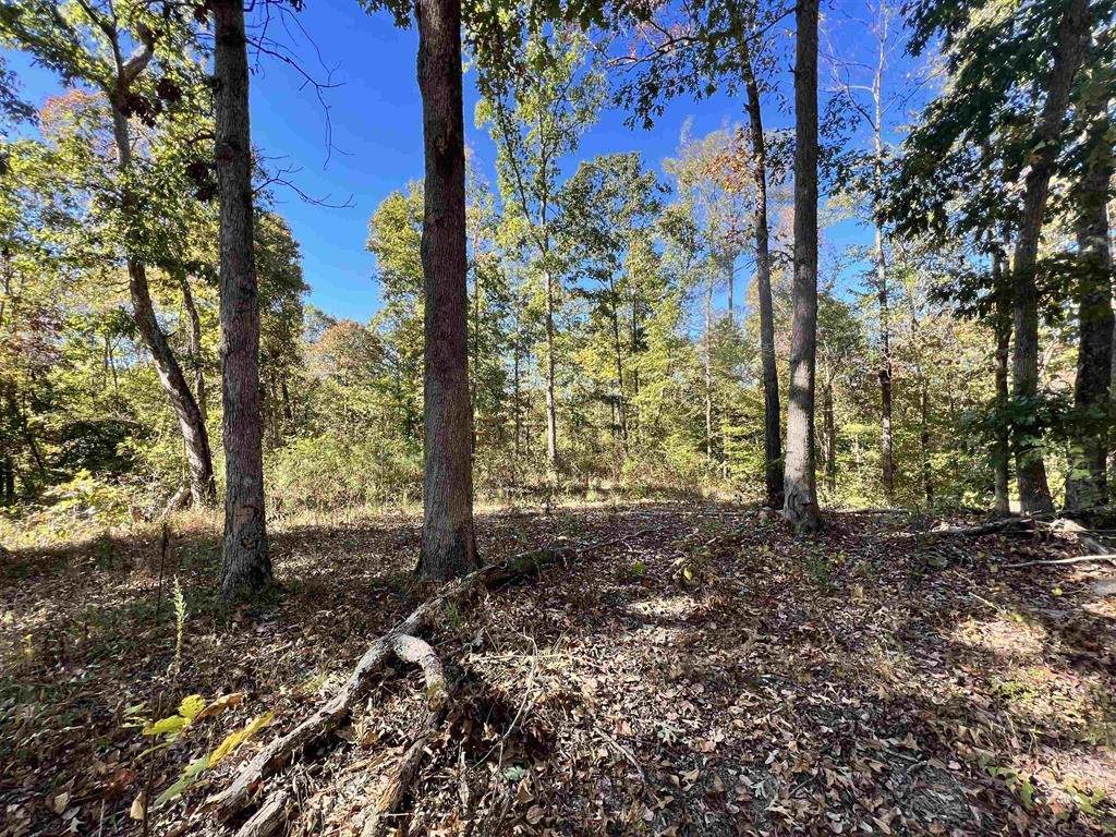 0 Cedar Hill Rd - Photo 1
