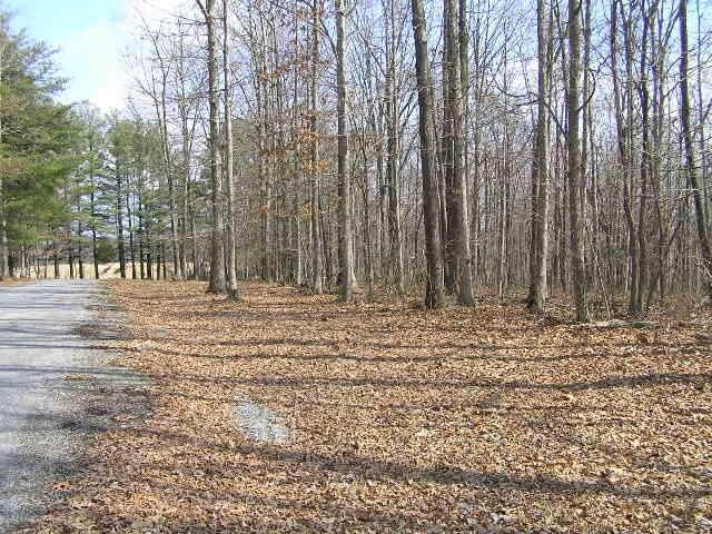 0 Wolf Pen Rd - Photo 1