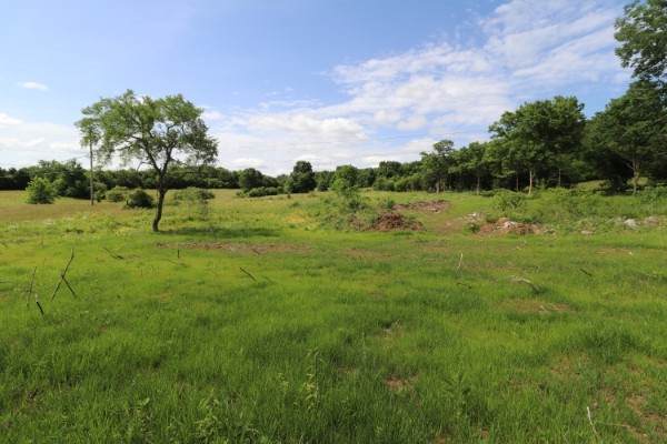 0 Fort Blount Road - Photo 1