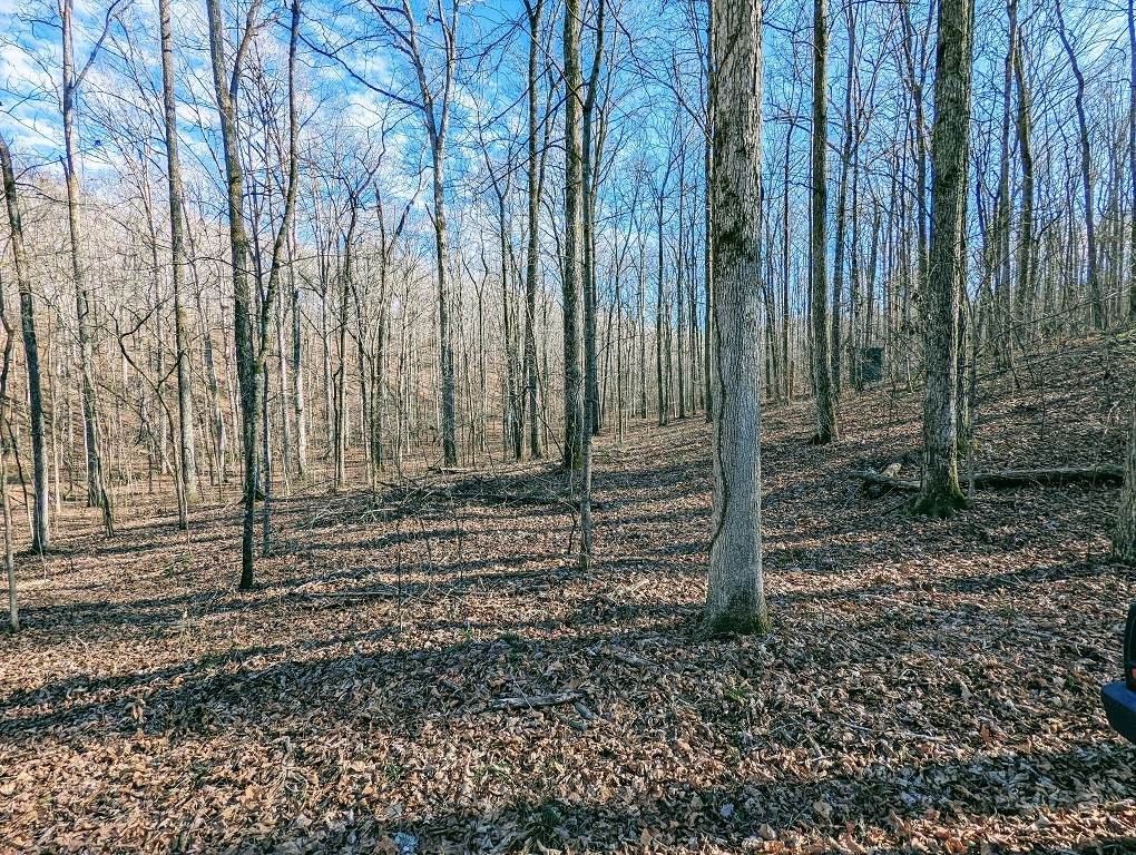 0 Old Richmand Rd. - Photo 1
