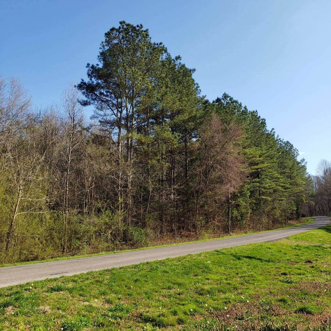 2356 Hurricane Creek Rd - Photo 1