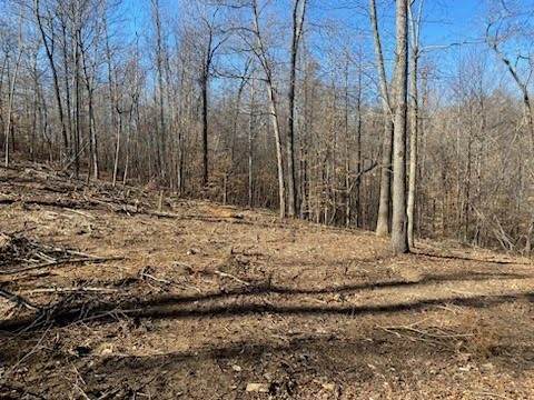0 Gibbs Rd - Photo 1