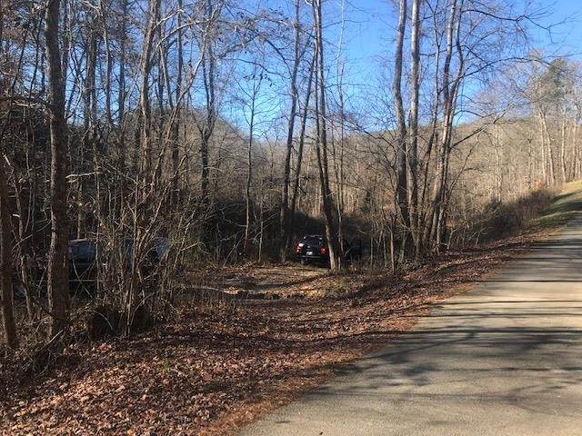 0 Denton Hollow Road North - Photo 1