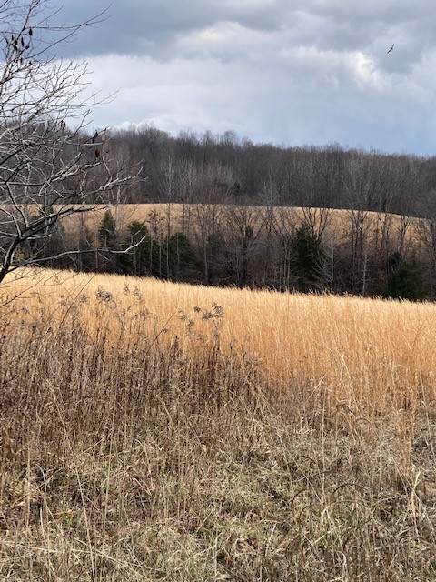 0 Coke Rd - Photo 1