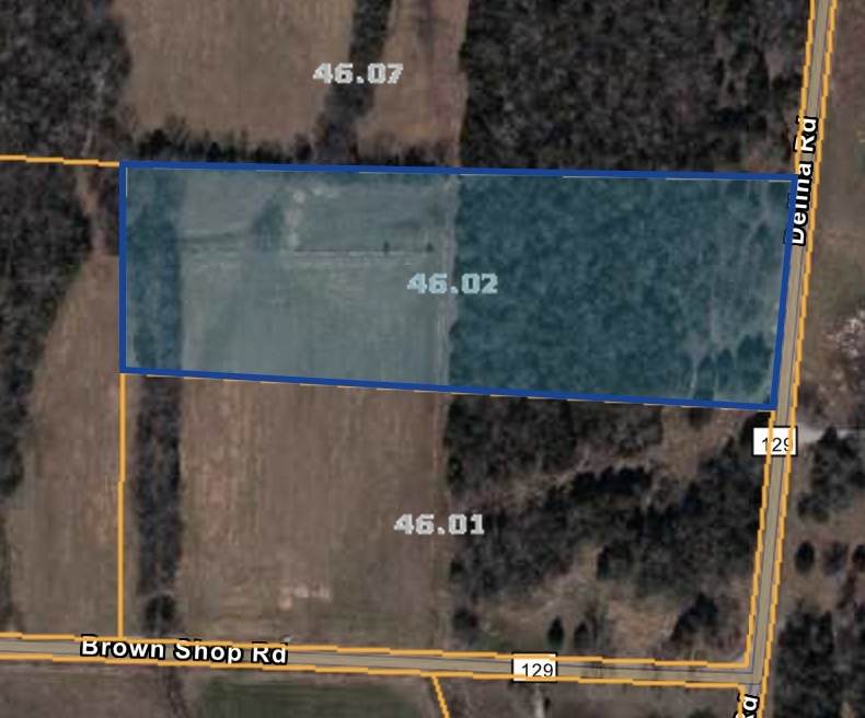 6947 Delina Rd - Photo 1