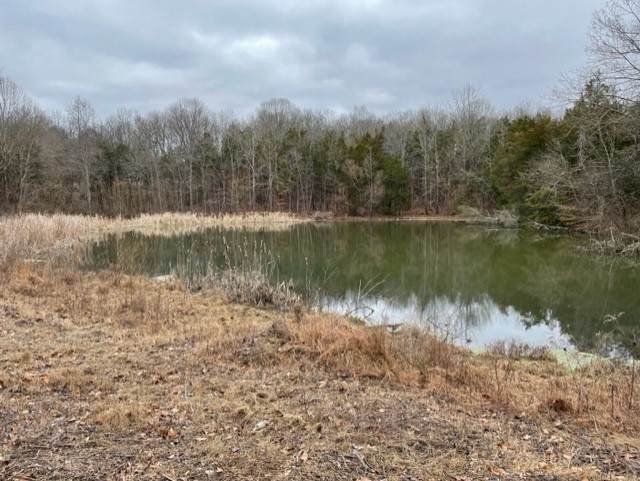 0 Hwy 64 East / Arnold Road - Photo 1