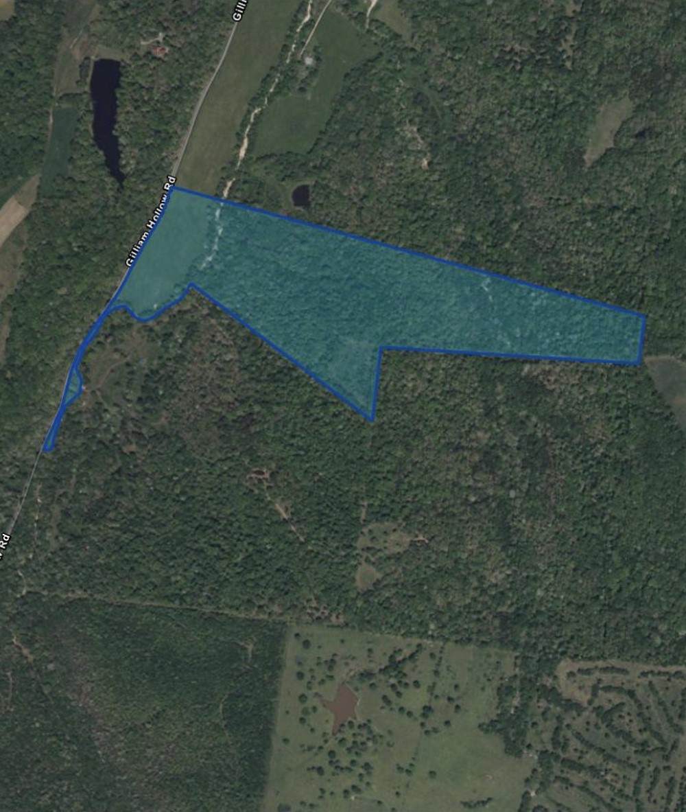 0 Gilliam Hollow Rd - Photo 1
