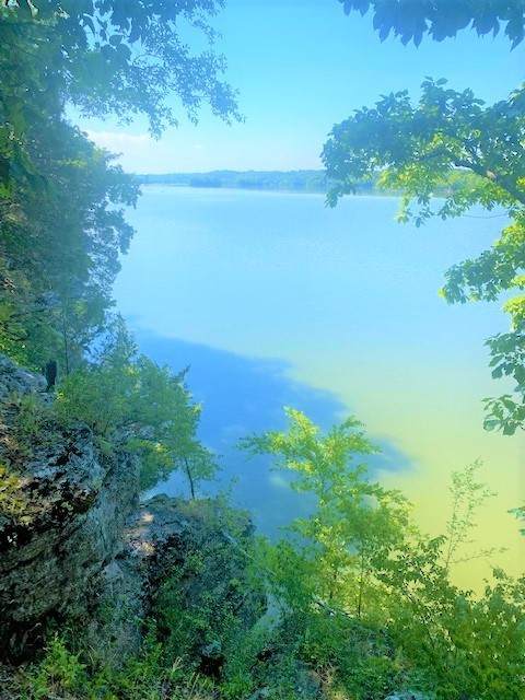 360 Odoms Bend - Photo 1