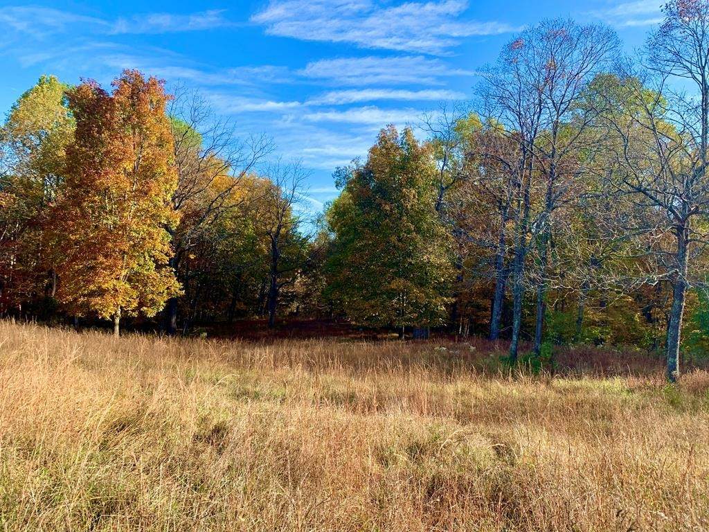 2438 Union Hill Rd - Photo 1
