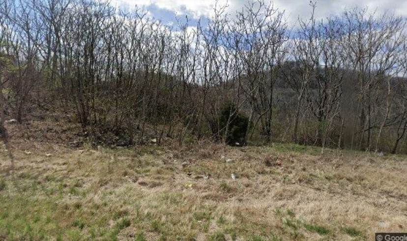 https://bt-photos.global.ssl.fastly.net/nashville/orig_boomver_1_RTC2613496-1.jpg