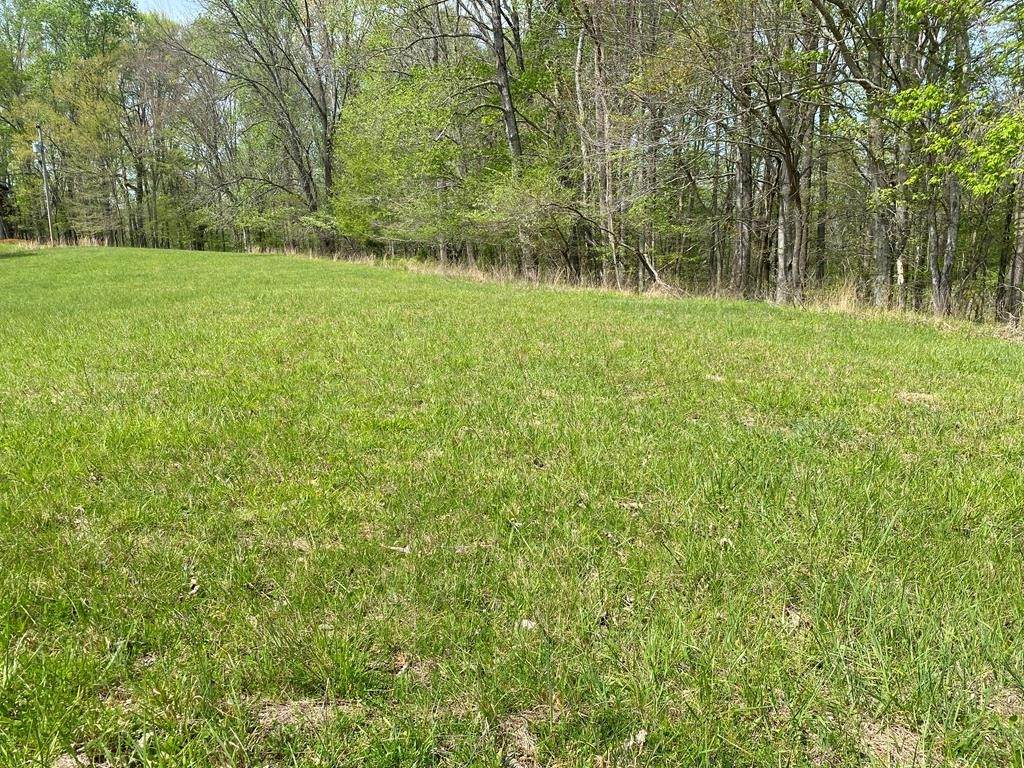 0 Rock Island Shores Drive - Photo 1