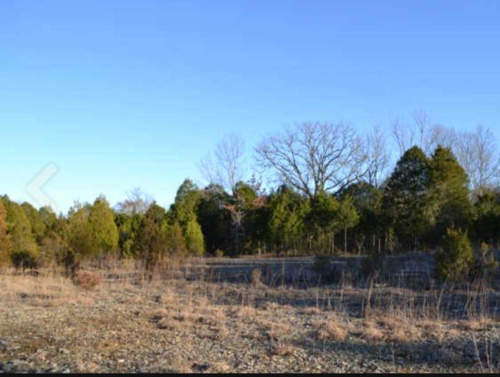 https://bt-photos.global.ssl.fastly.net/nashville/orig_boomver_1_RTC2656245-1.jpg