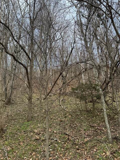 0 Blackberry Ridge Way - Photo 1