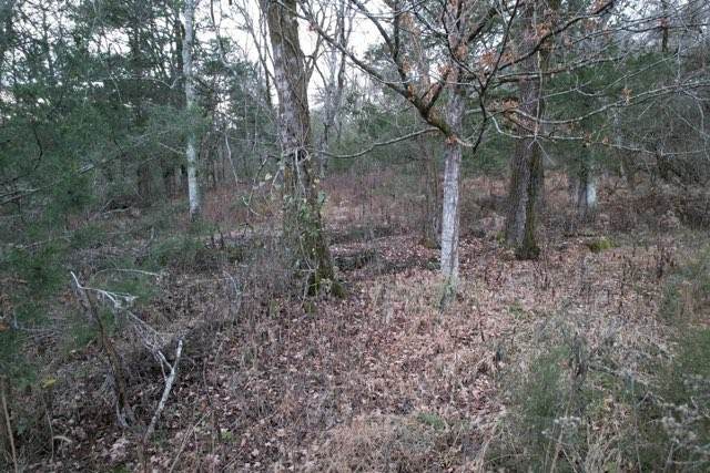 0 Interstate 65 Access Road - Photo 1