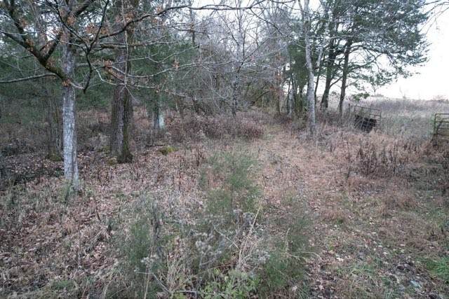 0 Interstate 65 Access Rd - Photo 1