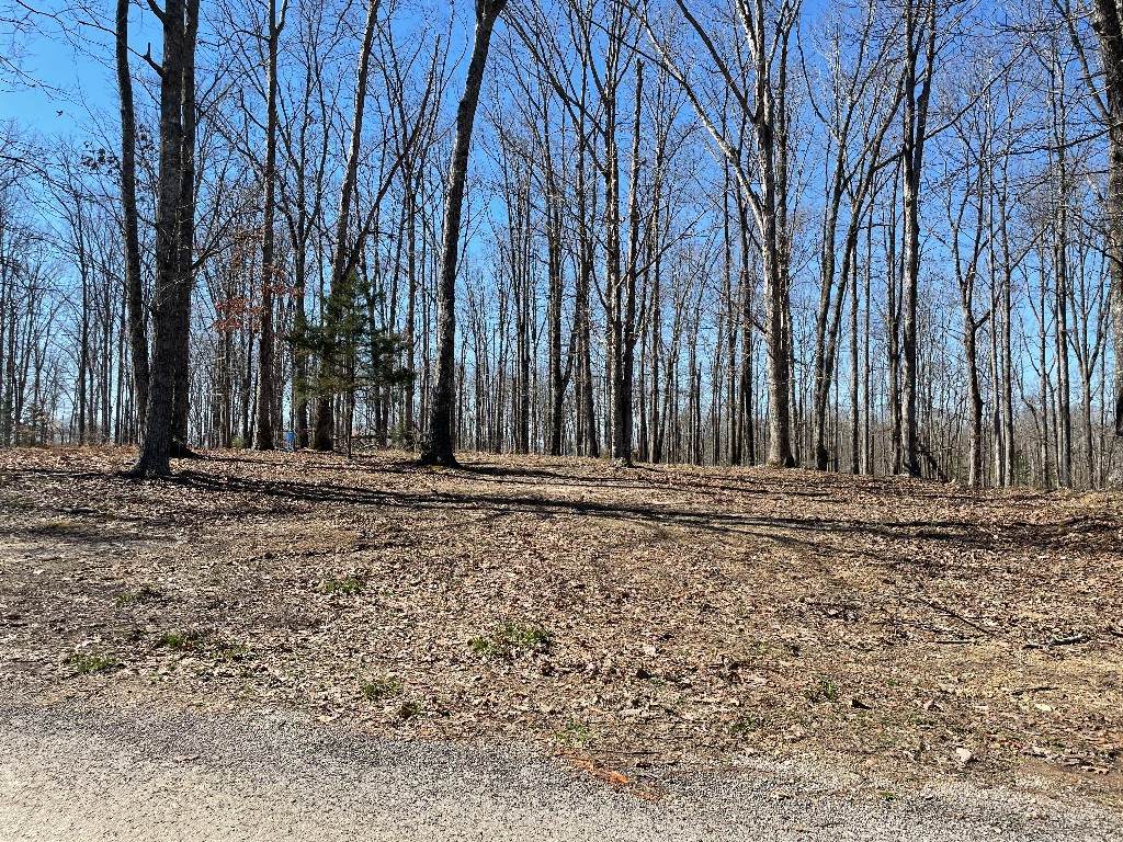 131 Shelton Cemetery Rd - Photo 1