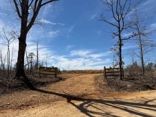 0D Toll Hollow Rd - Photo 1