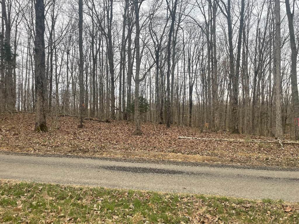 133 Shelton Cemetery Road - Photo 1