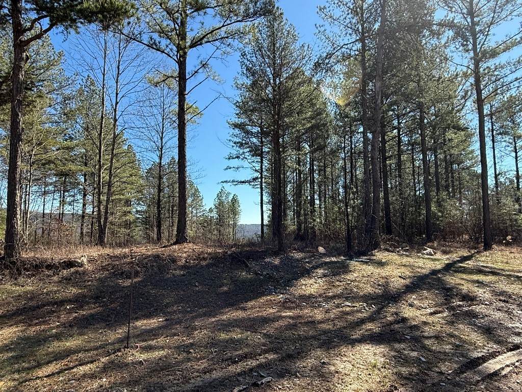 1375 Split Rail Way - Photo 1